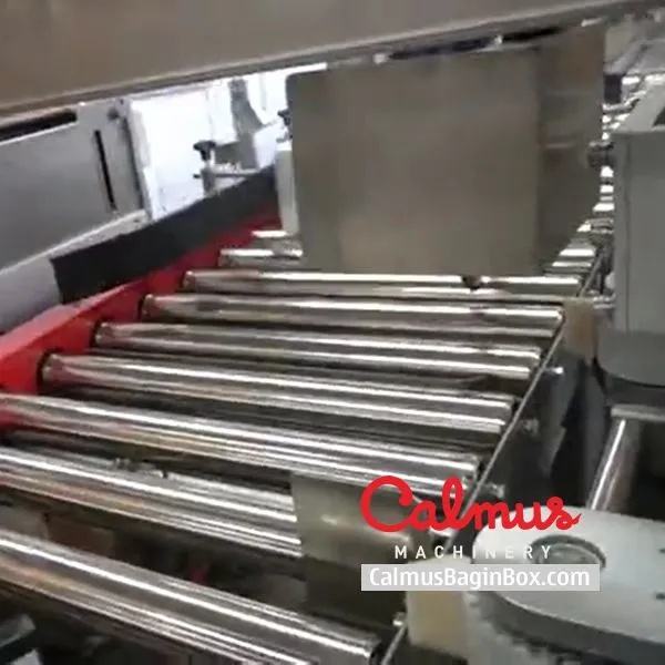 Form-Insert-Seal Case Packer Monoblock Cartoning Machine photo-4