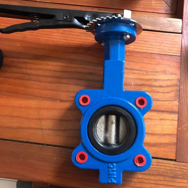 DIN3354 Design 10 Inch PVC Butterfly Valve photo-5