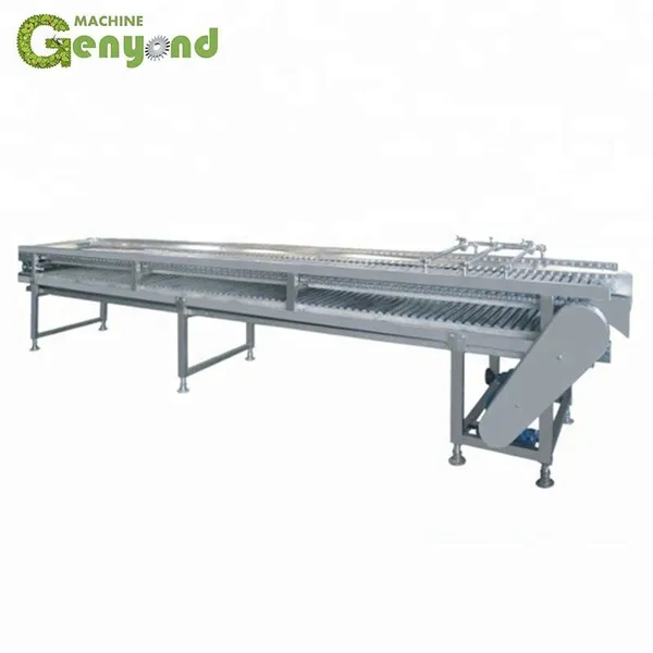 Fruit and Vegetables Ultrasonic Washer Industrial photo-4