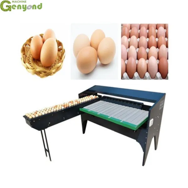 Egg Grading Machine Automatic Egg Sorting Machine Chicken Egg Sorter for Homeuse photo-4