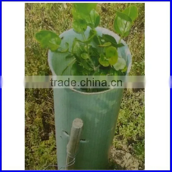 Plastic Corflute Tree Guard Sheet Making Machine photo-5