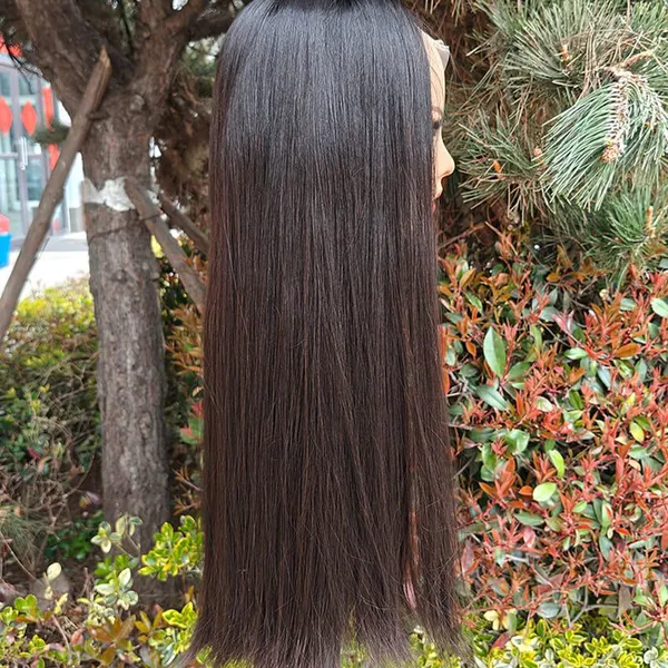 Unprocessed Human Hair Wigs for Women photo-2
