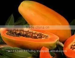 Fresh Papya Exporters in India