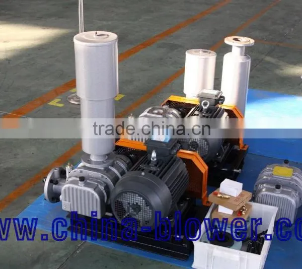 NSRH-125 Pneumatic Conveying Roots Blower photo-5