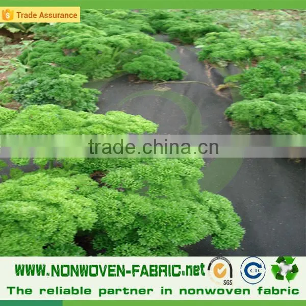 Landscape Item Non Woven PP Fabric photo-2
