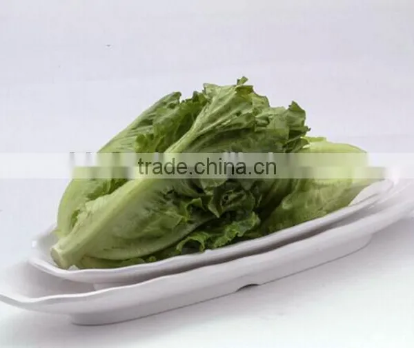 Wholesalers China Dish Cutlery Set High Demand Products in Market