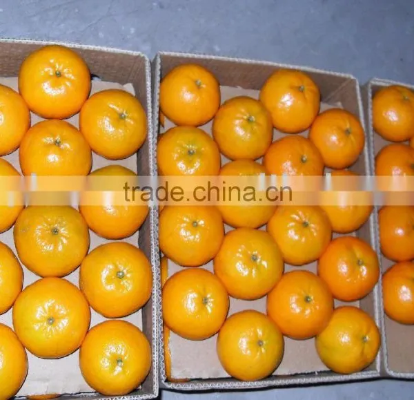 Fresh Orange