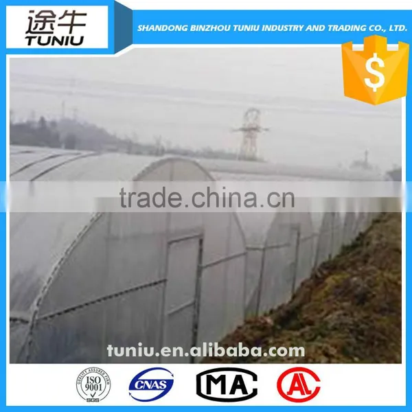 Hdpe Vegetable Agriculture Insect Proof Net Quality Choice photo-4