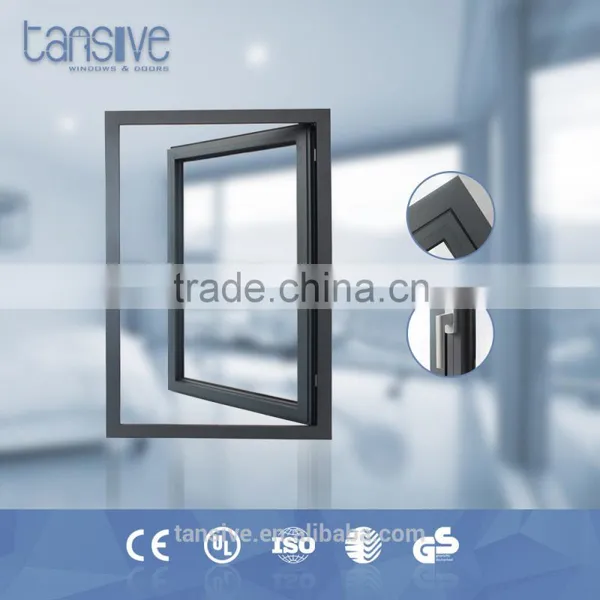 Black Powder Coating Double Glass Swing and Hinged Windows