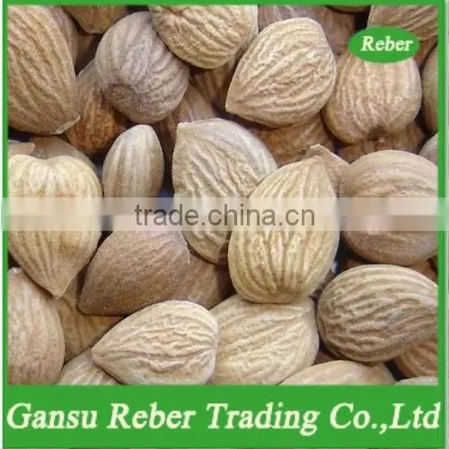Bitter Apricot Kernels