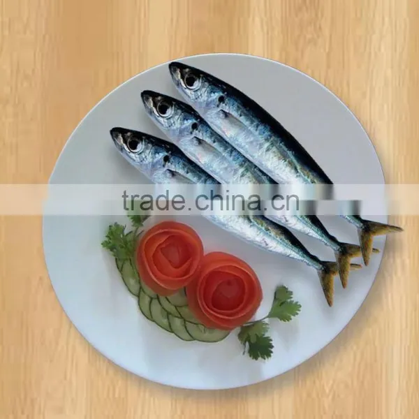 Round Scad Whole Round