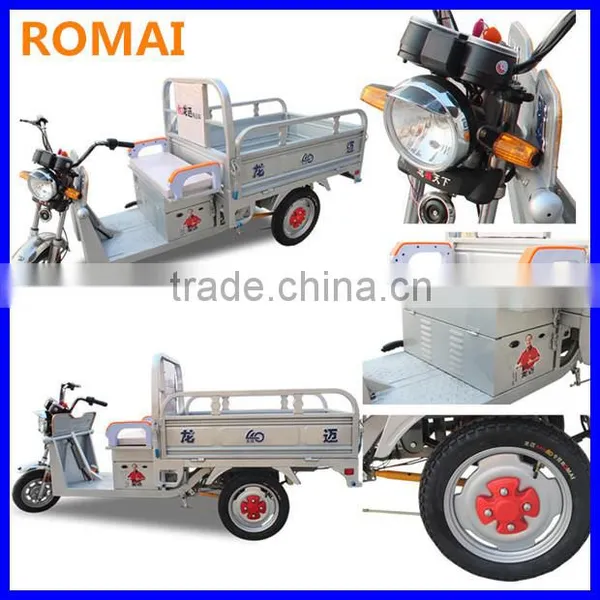 for Cargo E-rickshaw photo-3