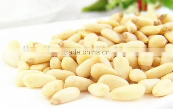 2016 Chinese Pine Nuts Without Shell for Export