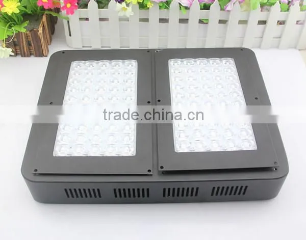 Module Led Growing 2016 Full Spectrum 300 Watt Growing Light for Indoor Plants photo-2