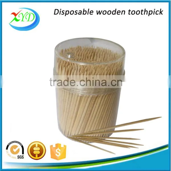 Plastic Tube Holder Wood Tooth Pick