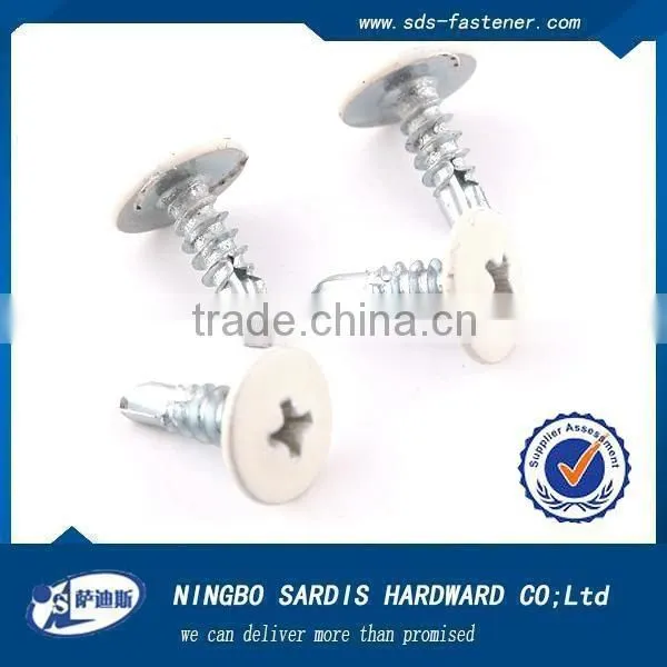 China Manufacturer Factory Price HDG Full Thread Self Tapping Screw photo-3
