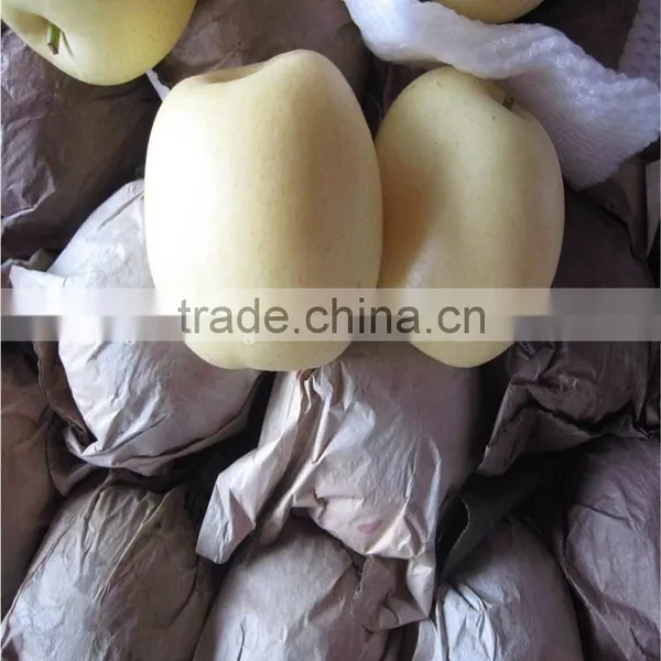 New Crop China Fresh Golden Pear for Sale photo-2