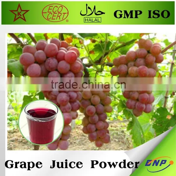 Bnp Supplier Fermented Grape Juice Concentrate photo-3