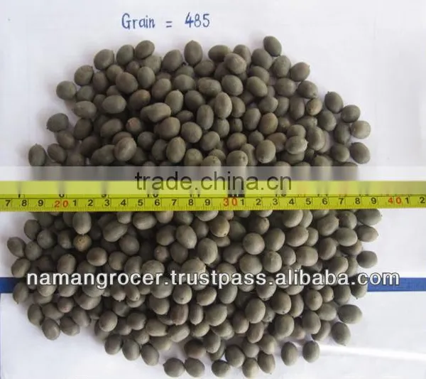 Lotus Seed