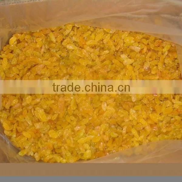 Dried Golden Raisin, AAA Grade photo-2