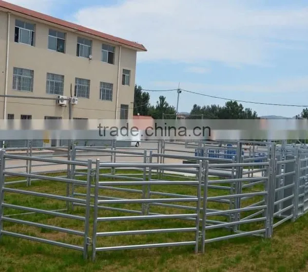 Horse Water Trough Automatic Water Trough Cattle Water Trough photo-6