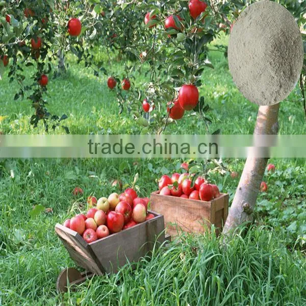 Honganyuan Compound Amino Acid / Soya Bean Extract Amino Acid Powder photo-3