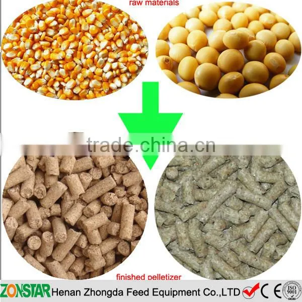 Small Poultry Animal Feed Pellet Machine With Expert Solution photo-6