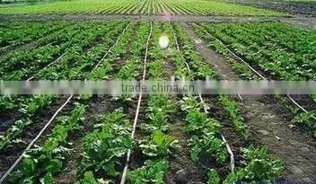 PE Agricultural Drip Irrigation Tape With Flat Drippers
