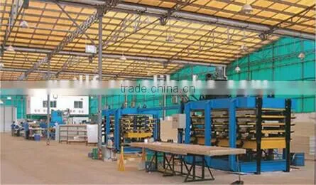 DLF Cooling Pad Production Line