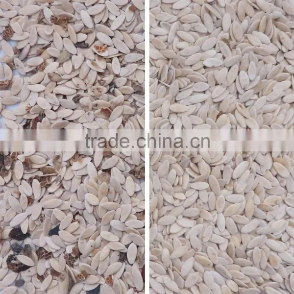 Hot Sales Full Color CCD Camera Color Sorter for Uzbekistan Sunflower Seeds/pumpkin Seeds photo-4