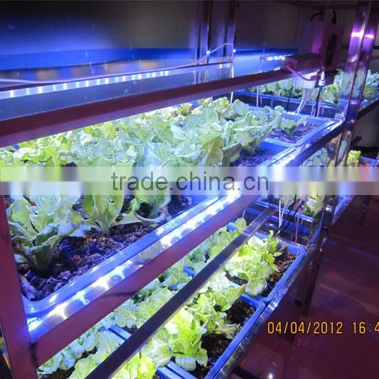 MarsHydro Led Grow Bar60cm 120cm ,marshydro Led Grow Light,waterproof Grow Bar Strip photo-4