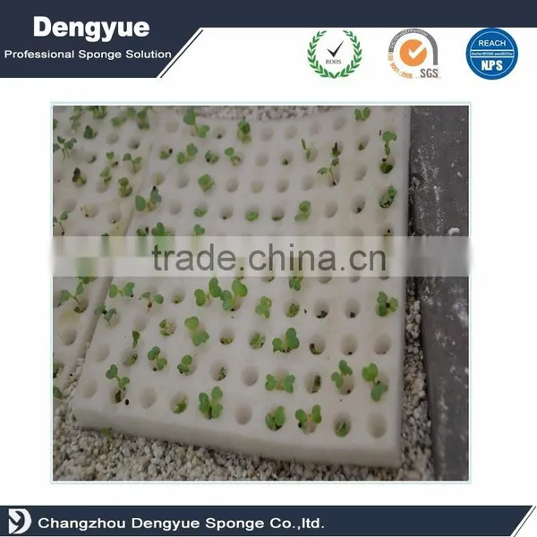 Singapore Foam Tray Seed Hydroponic Seedling Cultivation Foam for Soilless Culture photo-3