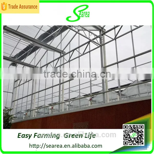 2015 China Low Cost Galvanized Pipe photo-4
