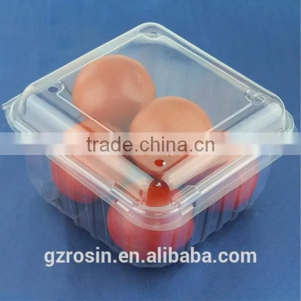 500g Disposable PET Mushroom Tray