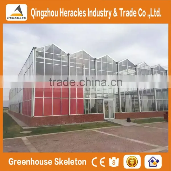 Agricultural Greenhouses For Soilless Hydroponics / Nft Systems For Tropical And Desert Areas photo-2
