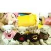 Sell Teddy Bear