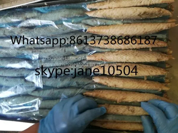 Precooked Bonito Tuna Loin Auxis Thazard photo-2
