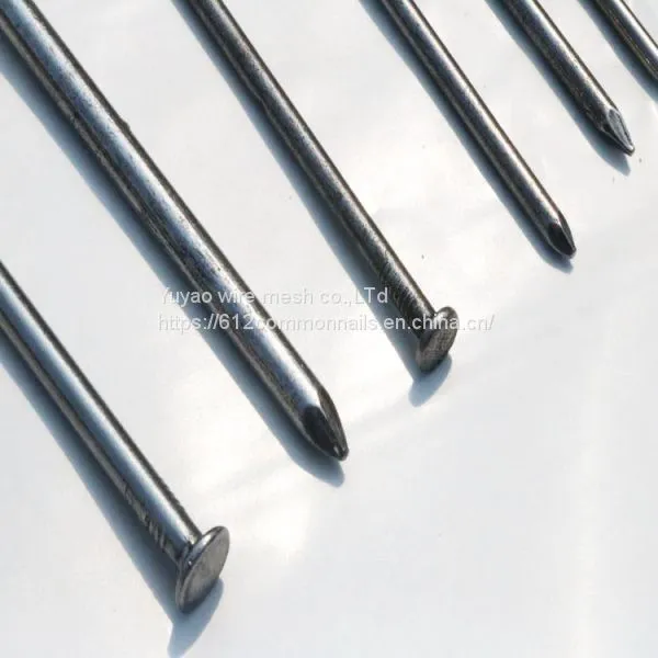 Factory Supply Common Nails photo-2
