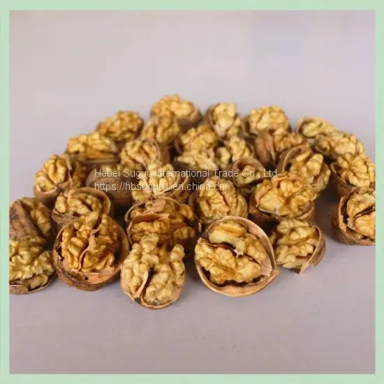 New Crop Dry Walnut Walnuss Nuts Nuss/China Xinjiang/ Walnut Food/ Food Wholesale
