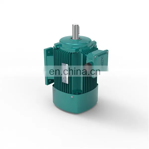 YE2 Series Electric Motor High Speed Three Phase Induction Motor for Industry Machinery Asynchronous Motor photo-4