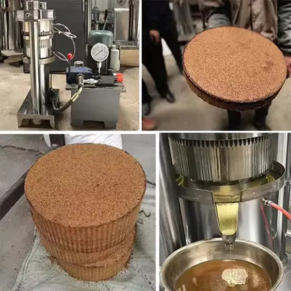 Cold Hydraulic Walnut Avocado Coconut Linseed Oil Processing Machine Oil Extractor Oil Making Machine Oil Press Machine photo-4