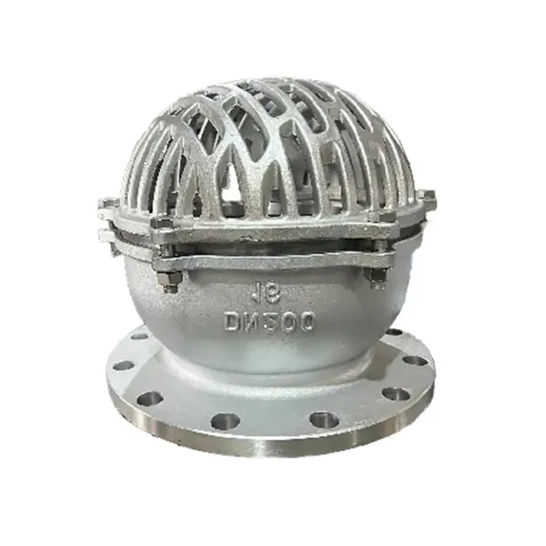 DIN Standard DN500 Strainer Foot Valve Stainless Steel 316 Flanged End Foot Valve Water Pump Foot Valve With Strainer