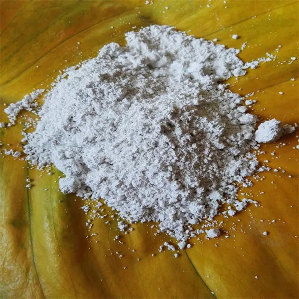 Cosmetics-grade Calcined Diatomite Paint Coating Insulation Silica Gel Used Diatomite photo-3