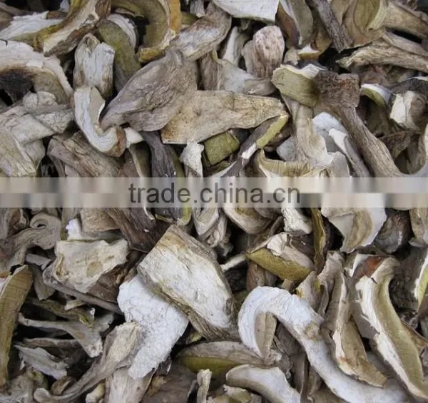 Top Quality of Dried Porcini Mushroom photo-4