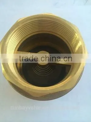 Wholesale Low Price High Quality Wafer Type Butterfly Check Valve photo-2