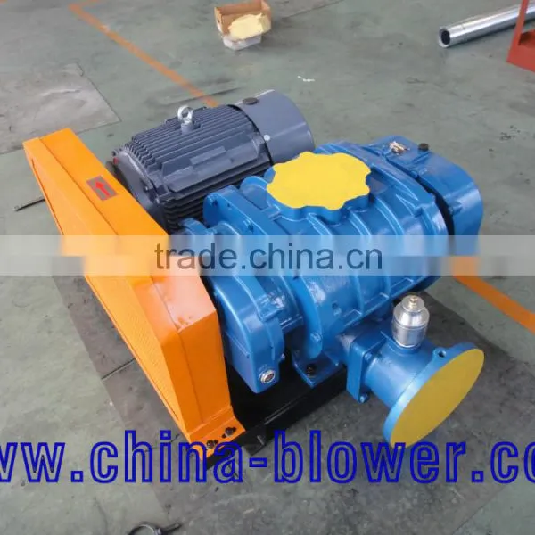 Roots Vacuum Pump Gas photo-5