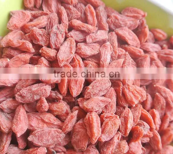 2015 Goji Berry Price photo-3