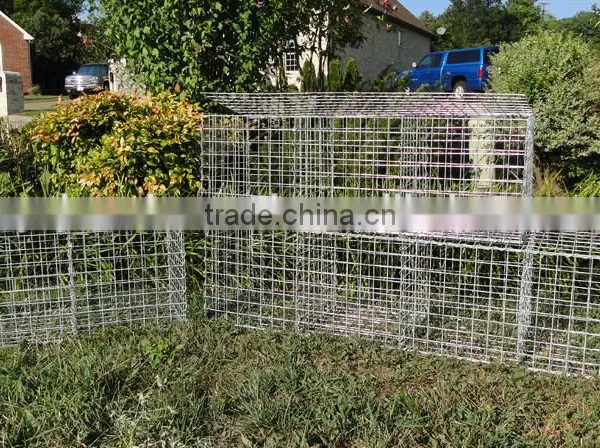 Hexagonal Pvc Coated Galvanized Gabion Wire Mesh Box For Sale Stone Gabion Basket Containment Prices Canton Quality-MP photo-2