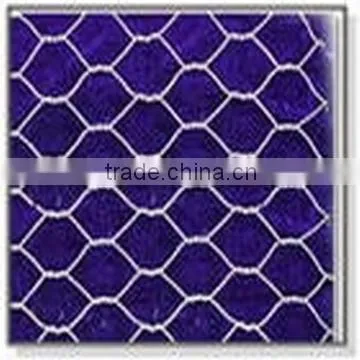 Hexagonal Iron Wire Mesh