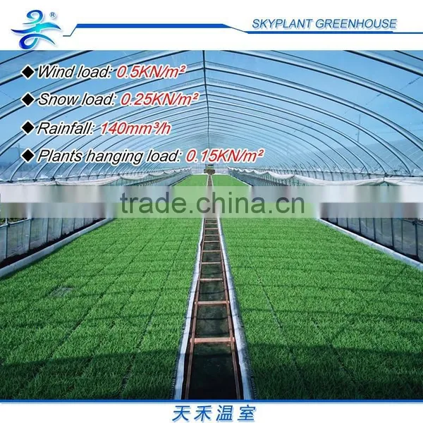 Single-span Greenhouse for Vegetables, Plastic Flim Greenhouse, Low Cost photo-2
